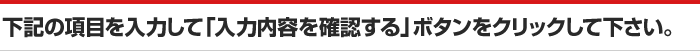 下記の項目を入力して「入力内容を確認する」ボタンをクリックして下さい。